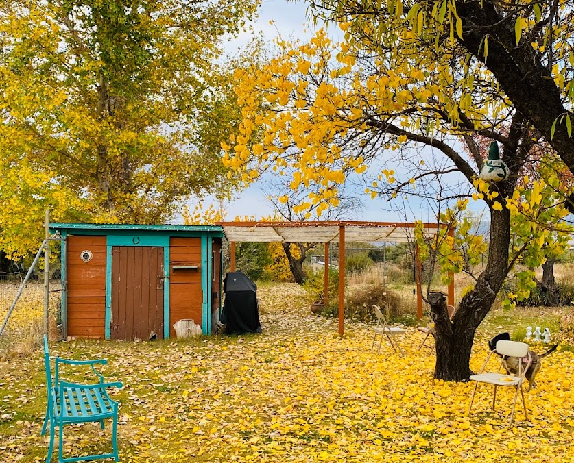 chicken-coop2.jpg chicken-coop2.jpg