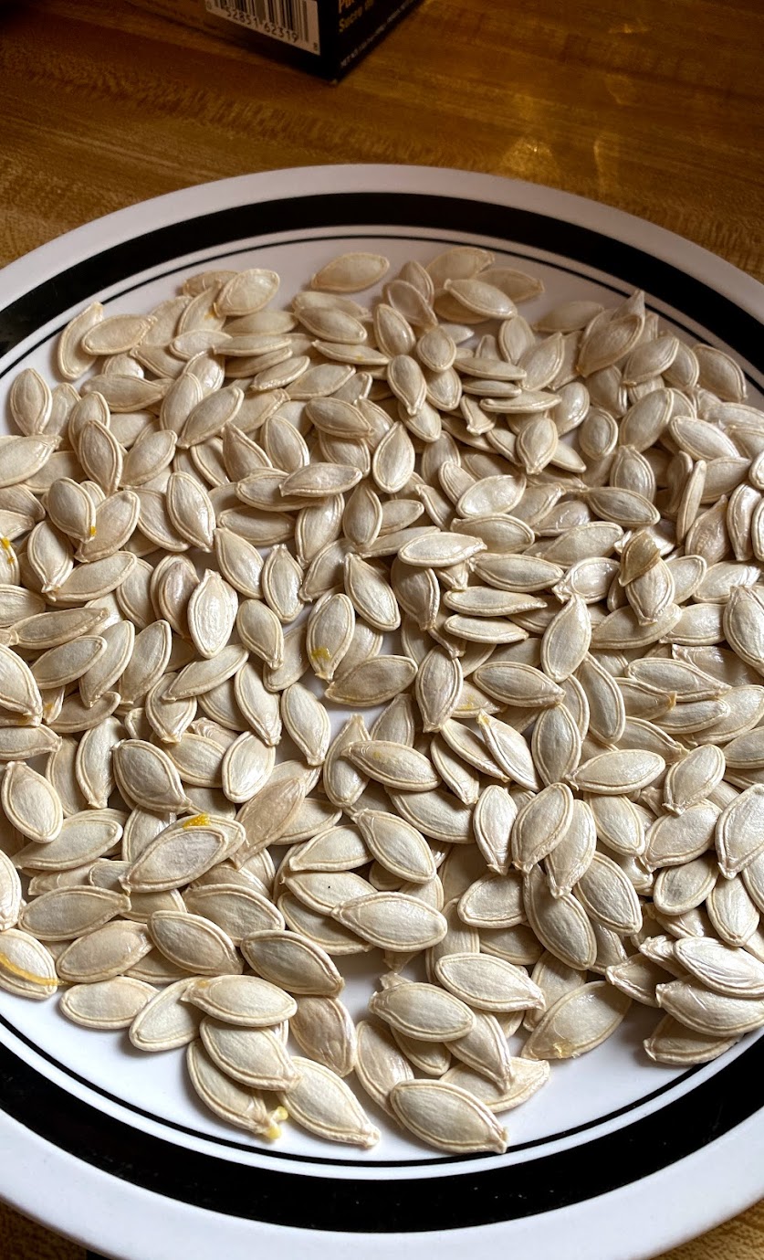 pumpkin-seeds.jpg pumpkin-seeds.jpg