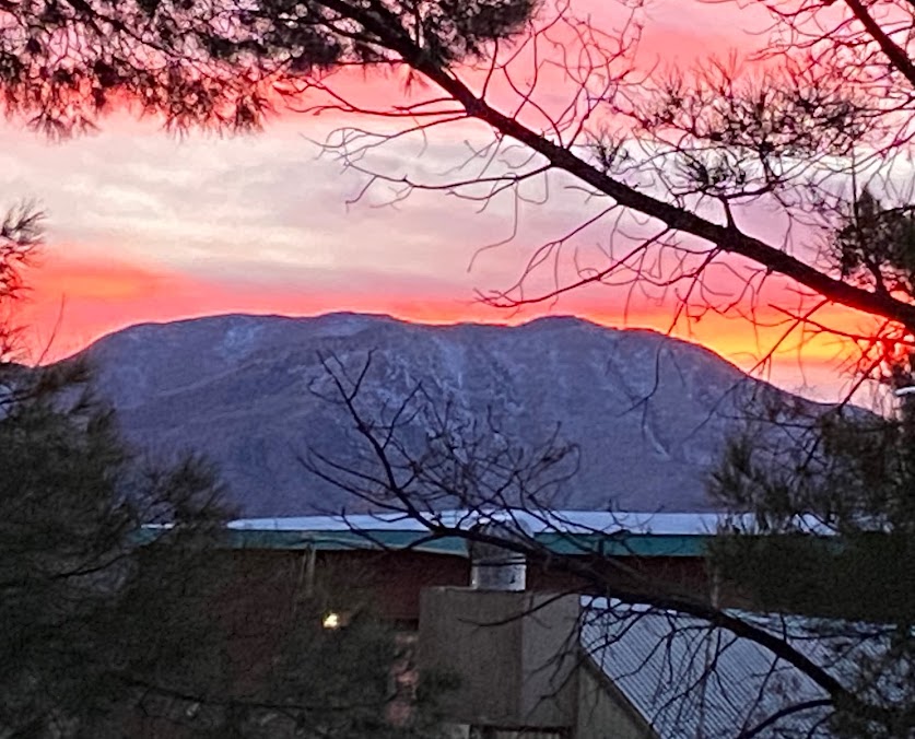 redsky-delight.jpg redsky-delight.jpg