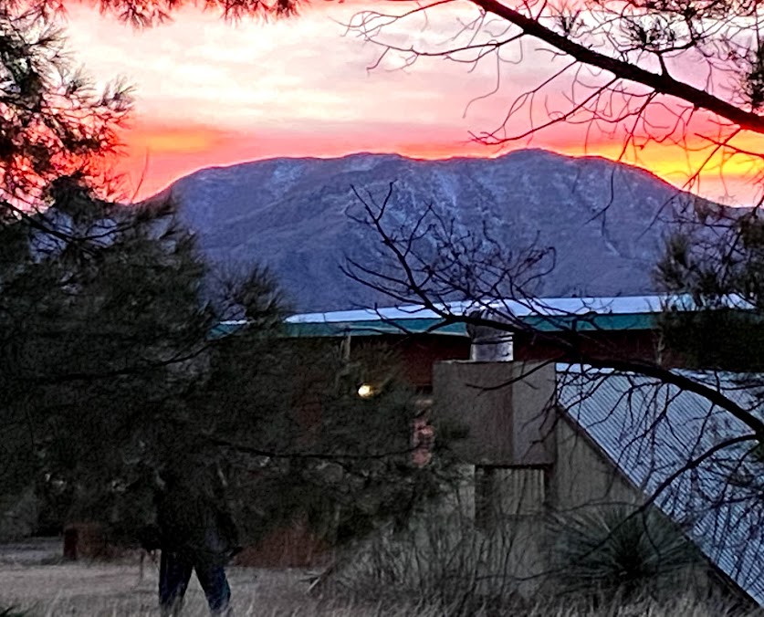 redsky-delight2.jpg redsky-delight2.jpg