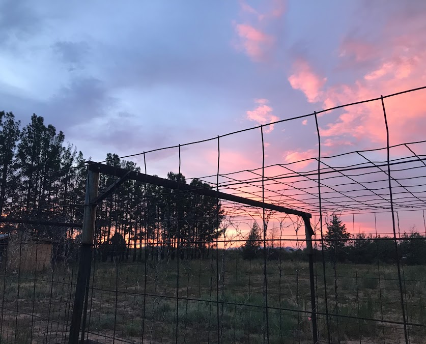 redsky2.jpg redsky2.jpg
